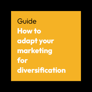How to adapt your marketing for diversification